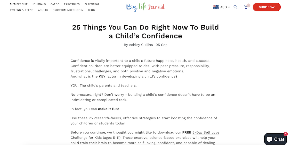 Big Life Journal