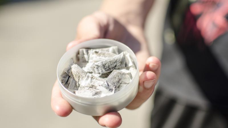 Smokeless Tobacco Products