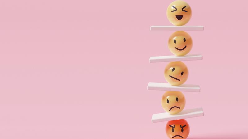 The Wellbeing Barometer